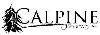 CALPINE SINCE 1895 logo