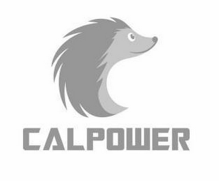 CALPOWER logo