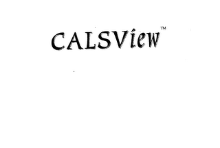 CALSVIEW logo