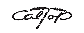 CALTOP logo