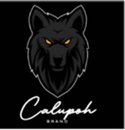CALUPOH BRAND logo