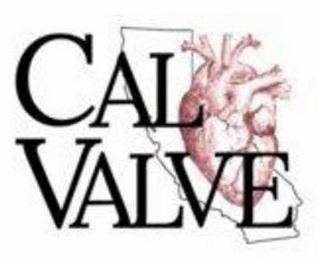 CALVALVE logo