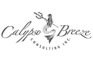 CALYPSO BREEZE CONSULTING INC. logo