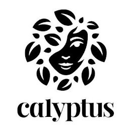 CALYPTUS