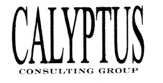 CALYPTUS CONSULTING GROUP logo