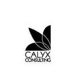 CALYX CONSULTING logo