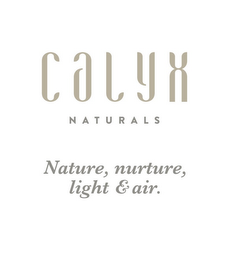CALYX NATURALS: NATURE, NUTURE, LIGHT & AIR logo