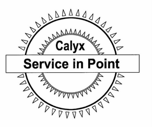 CALYX SERVICE IN POINT logo