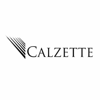 CALZETTE logo