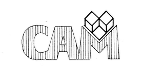 CAM logo