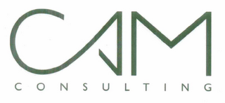 CAM CONSULTING logo