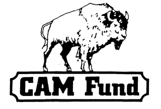 CAM FUND logo