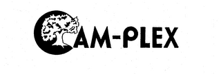 CAM-PLEX logo
