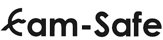CAM-SAFE logo