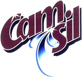CAM SIL logo