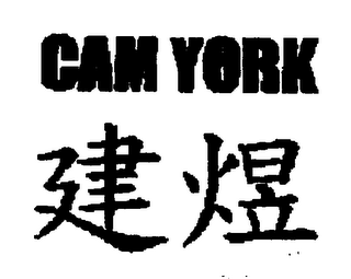 CAM YORK logo