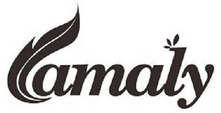 CAMALY logo