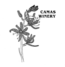 CAMAS WINERY logo
