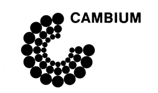 CAMBIUM logo