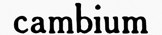 CAMBIUM logo