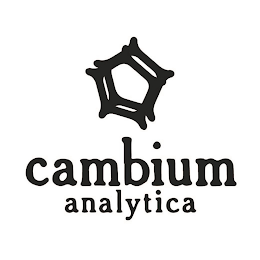 CAMBIUM ANALYTICA logo