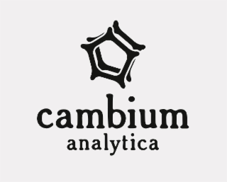 CAMBIUM ANALYTICA logo