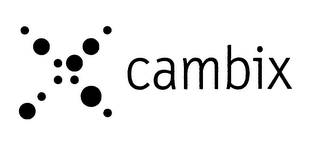 CAMBIX logo