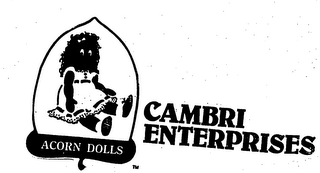 CAMBRI ENTERPRISES ACORN DOLLS logo