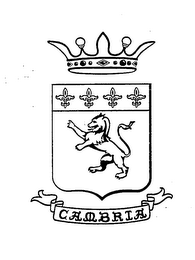 CAMBRIA logo