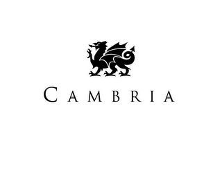 CAMBRIA logo