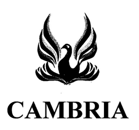 CAMBRIA logo