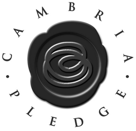 · CAMBRIA · PLEDGE logo