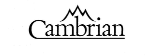 CAMBRIAN logo