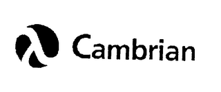 CAMBRIAN logo