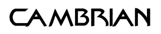 CAMBRIAN logo