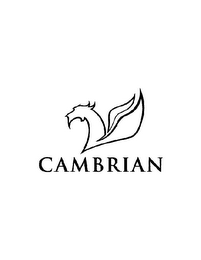 CAMBRIAN logo