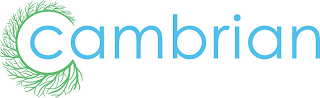 CAMBRIAN logo