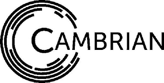 CAMBRIAN logo