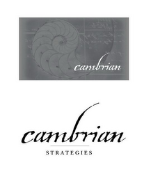 CAMBRIAN STRATEGIES logo