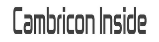 CAMBRICON INSIDE logo