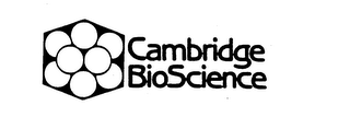 CAMBRIDGE BIOSCIENCE logo