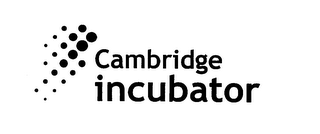 CAMBRIDGE INCUBATOR logo