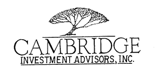 CAMBRIDGE INVESTMENT ADVISORS, INC. logo