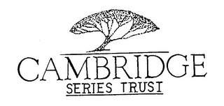 CAMBRIDGE SERIES TRUST logo