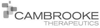 CAMBROOKE THERAPEUTICS logo