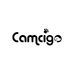 CAMCIGO logo