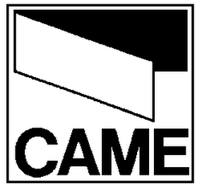 CAME logo