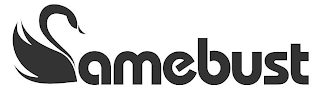CAMEBUST logo