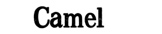 CAMEL logo
