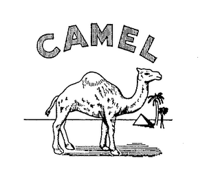 CAMEL